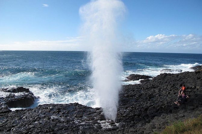 Oahu Ultimate Circle Island Tour Full Day Experience - Macadamia nuts and Kualoa scenery