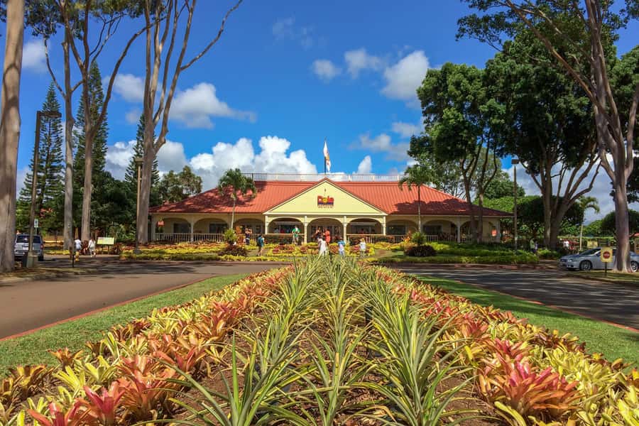 Oahu: Ultimate Pearl Harbor and Circle Island Tour - Dole Plantation adds a lighter island break