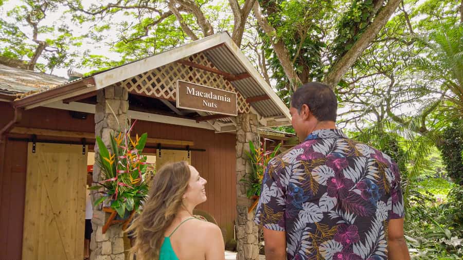 Oahu: Ultimate Pearl Harbor and Circle Island Tour - Who will enjoy this tour most