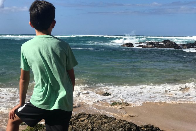 Oahu Unveiled: Tailored Luxury Private Island Tour - North Shore Surf, Haleiwa, and Turtles