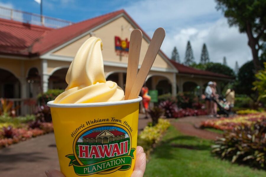 Oahu: Valley of Waimea Falls Swim & Hike with Lunch & Dole - Why Waimea Valley makes a good full-day outing