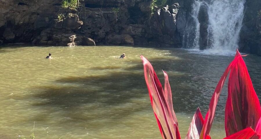 Oahu: Valley of Waimea Falls Swim & Hike with Lunch & Dole - What you get from the cultural side