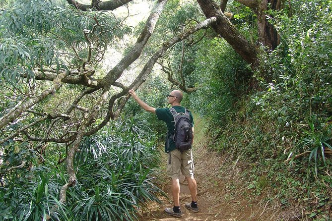 Oahu Volcanic Rainforest Hiking Adventure - Reaching the waterfall at the end