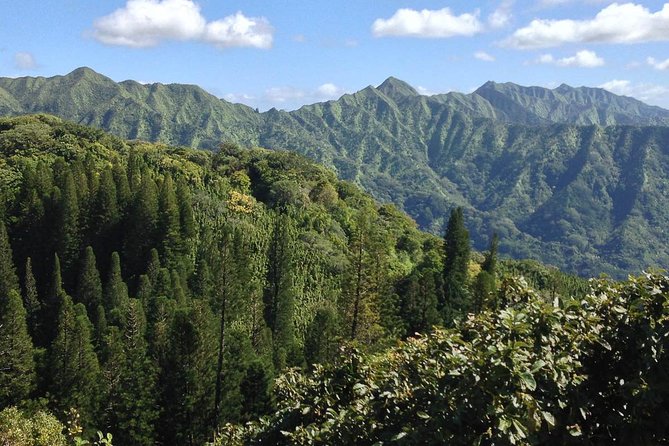 Oahu Volcanic Rainforest Hiking Adventure - What to pack for a muddy morning