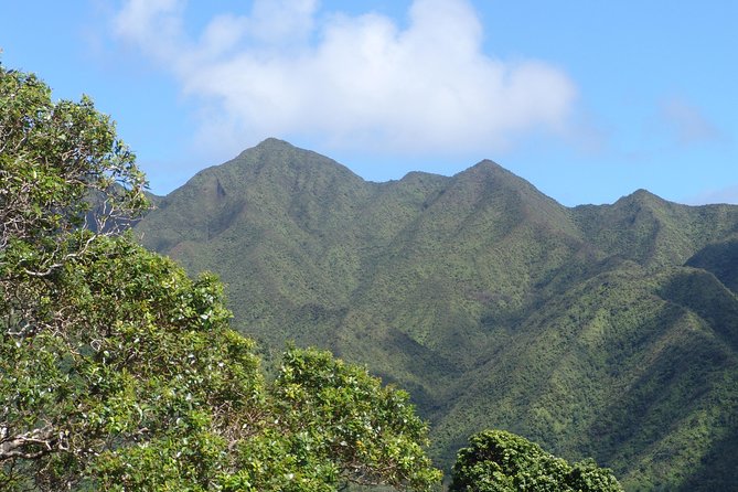 Oahu Volcanic Rainforest Hiking Adventure - Guides who turn plants into stories
