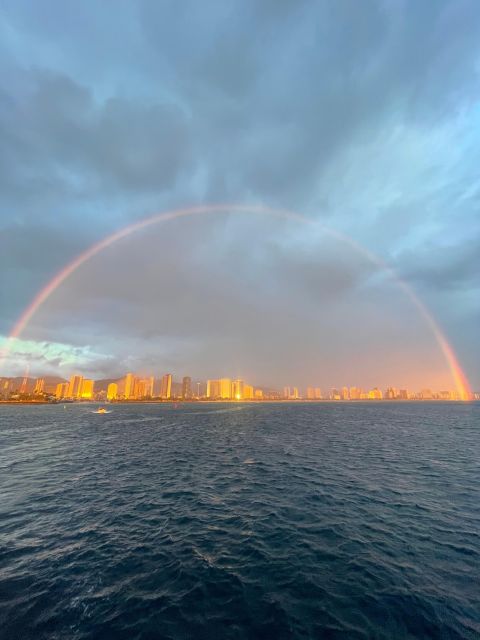 Oahu: Waikiki BYOB Sunset Cruise - Wildlife sightings depend on the season