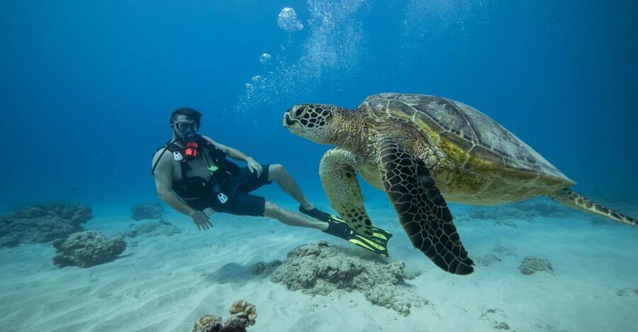 Oahu: Waikiki Discovery Scuba Diving for Beginners - Key points to know before booking
