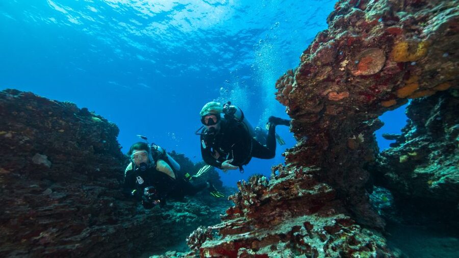 Oahu: Waikiki Discovery Scuba Diving for Beginners - The first reef: a calm start to the underwater world