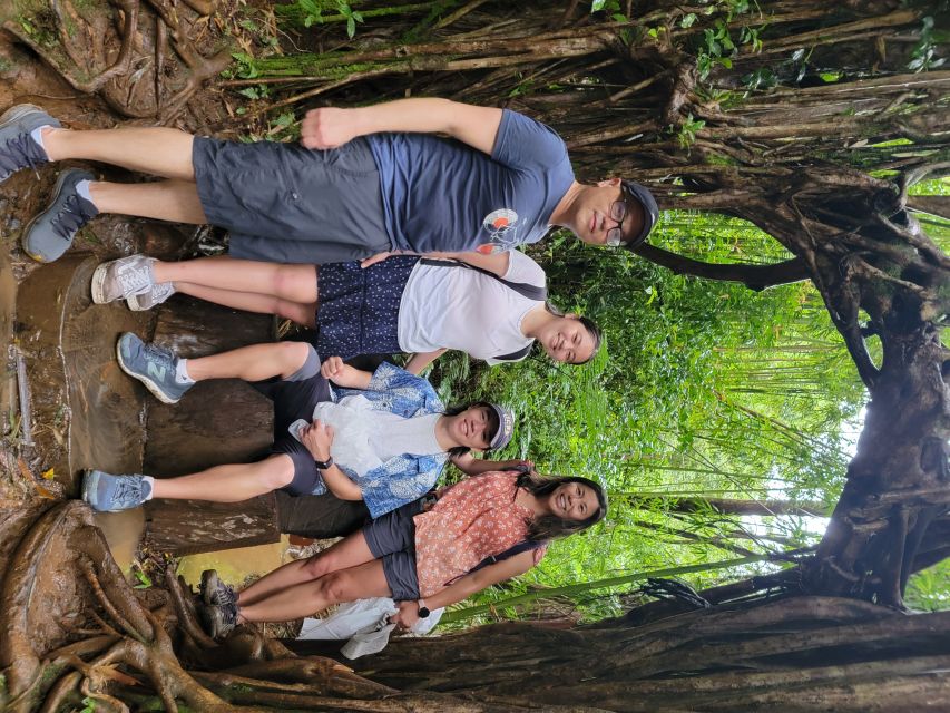 Oahu: Waikiki E-Bike Ride and Manoa Falls Hike - Should you book the Waikiki e-bike and Manoa Falls tour?