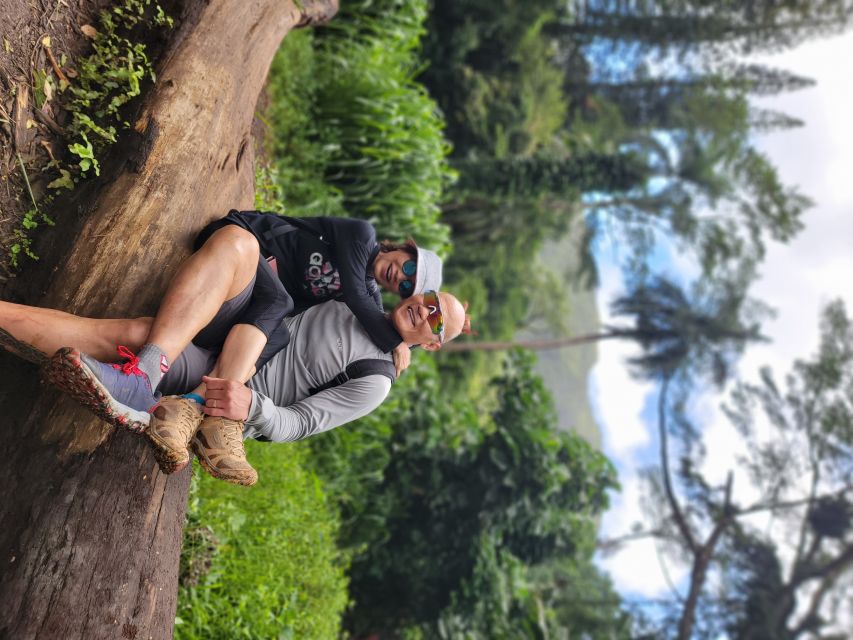 Oahu: Waikiki E-Bike Ride and Manoa Falls Hike - The return ride and optional shave ice