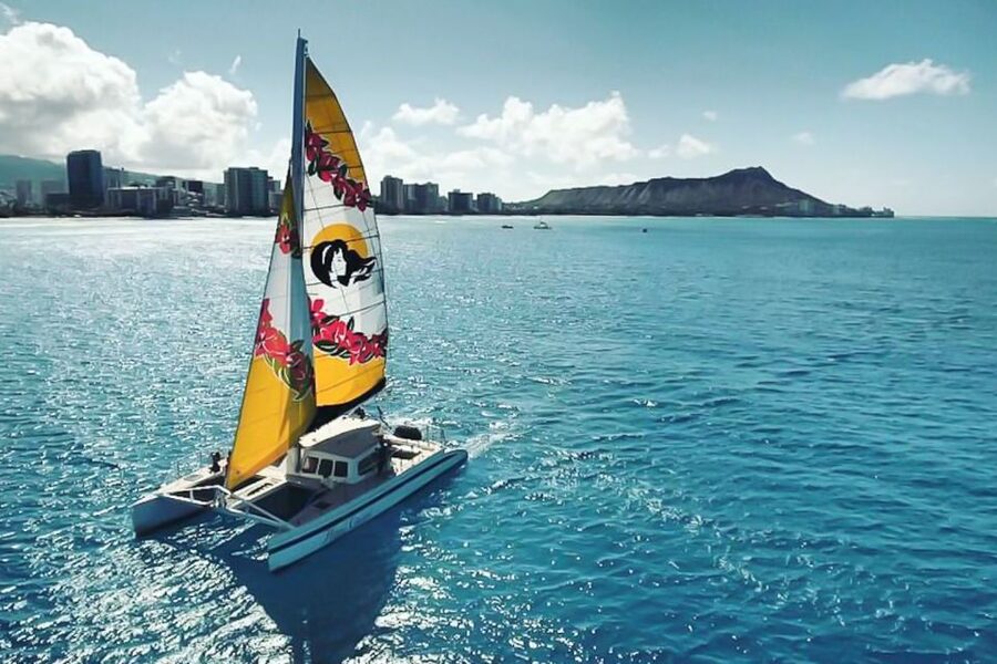 Oahu: Waikiki Eco-Friendly Morning Whale Watching Cruise - Setting Out From Kewalo Basin Harbor