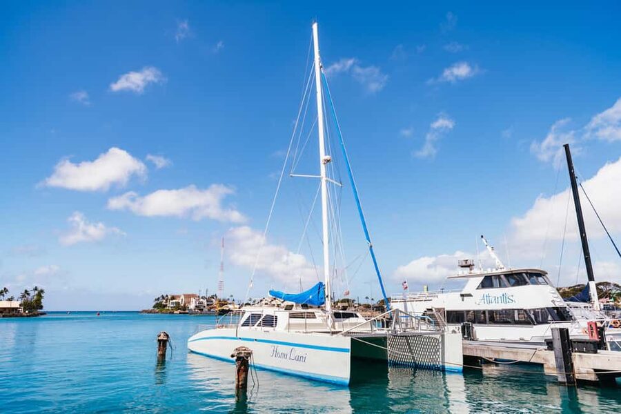 Oahu: Waikiki Snorkel and Sailing Trip with Lunch - Sailing from Kewalo Basin Harbor