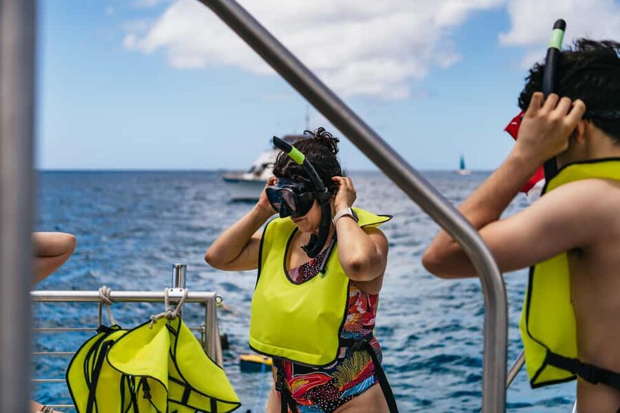 Oahu: Waikiki Snorkel and Sailing Trip with Lunch - Snorkeling with turtles and reef fish