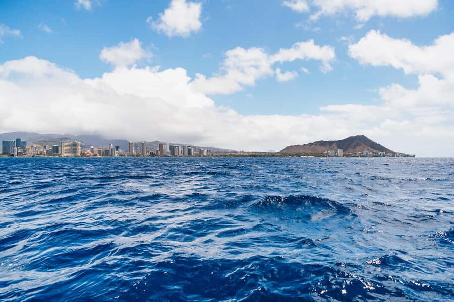 Oahu: Waikiki Snorkel and Sailing Trip with Lunch - Turtles, dolphins, and the luck factor