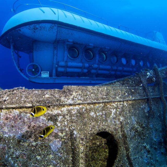 Oahu: Waikiki Submarine Tour - Boarding Atlantis XIV