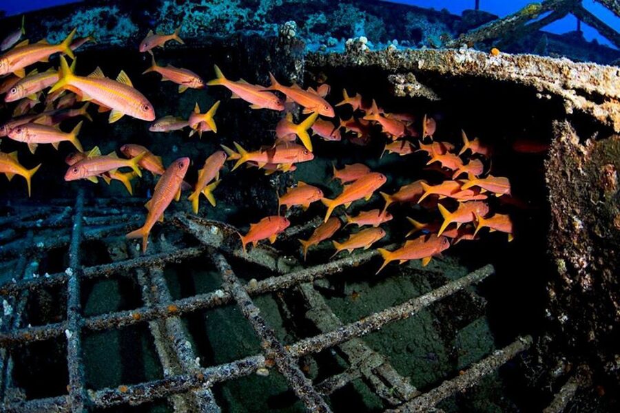 Oahu: Waikiki Submarine Tour - What the underwater views feel like
