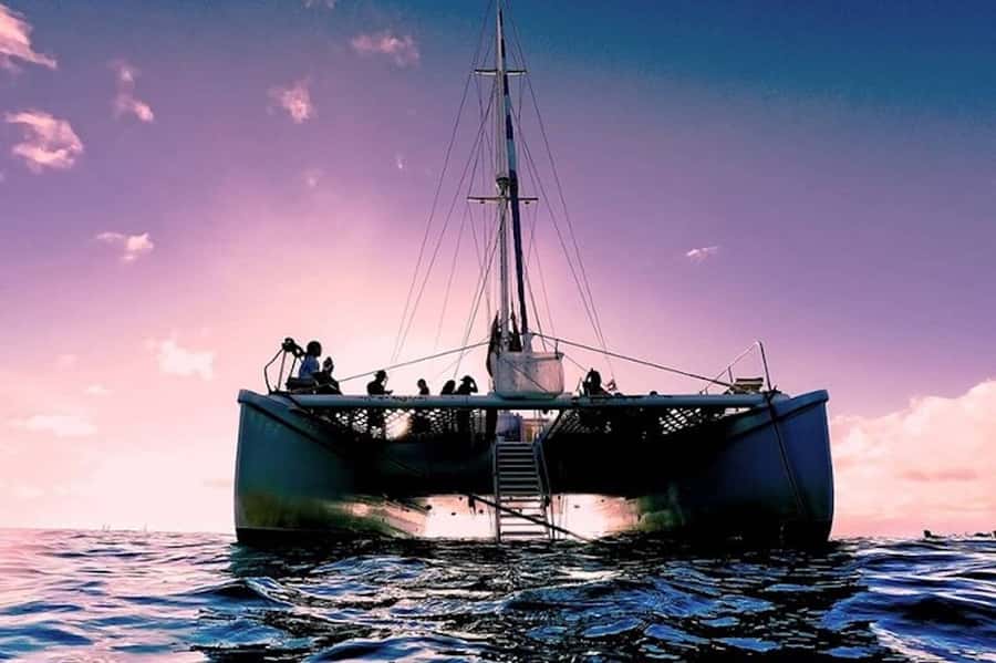 Oahu: Waikiki Sunset Catamaran Sail and Swim - The sunset swim from the boat
