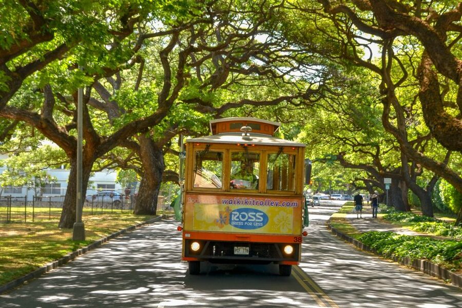 Oahu: Waikiki Trolley Hop-on Hop-off All-Line Pass - Who gets the best value from the pass