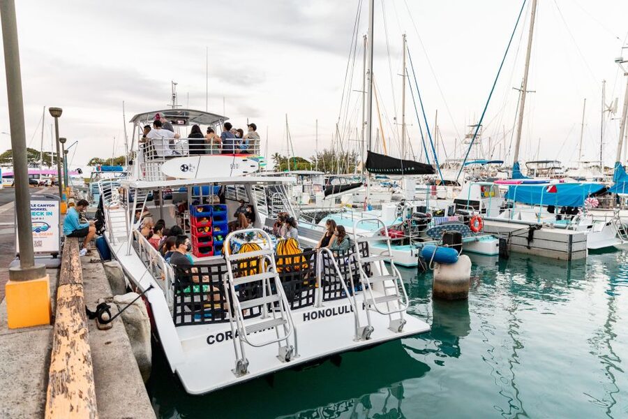 Oahu: Waikiki Turtle Canyons Cruise and Snorkel Excursion - Small details that make the outing better