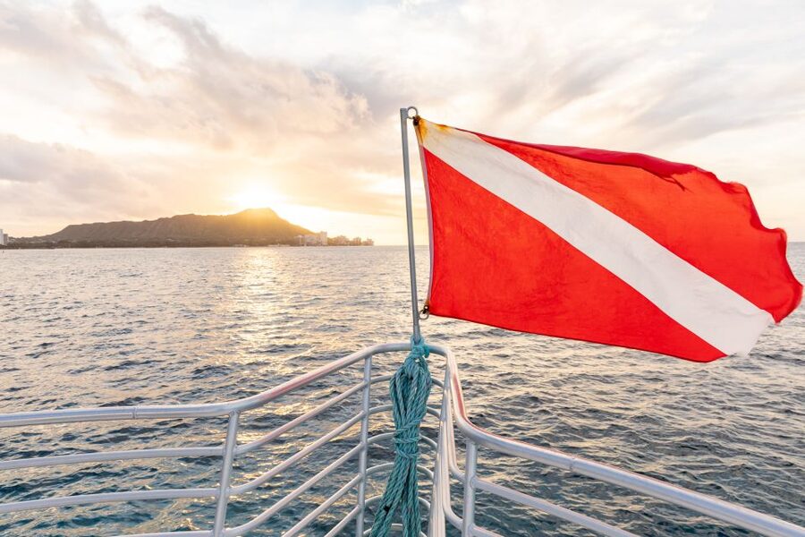Oahu: Waikiki Turtle Canyons Cruise and Snorkel Excursion - From Kewalo Basin to Waikiki’s open water