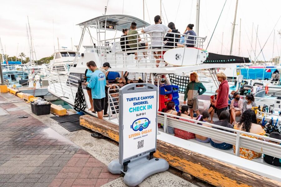 Oahu: Waikiki Turtle Canyons Cruise and Snorkel Excursion - Who will enjoy this most?