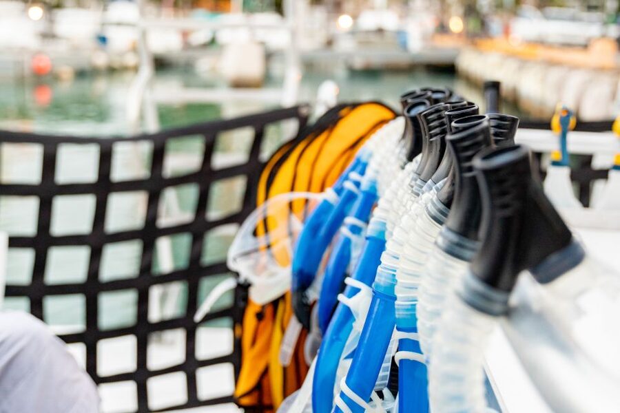 Oahu: Waikiki Turtle Canyons Cruise and Snorkel Excursion - The 15-minute safety briefing that sets the tone