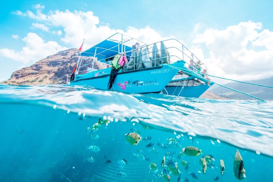 Oahu: Waikiki Turtle Snorkeling Adventure - What the $125 price includes