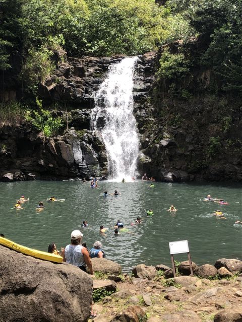 Oahu: Waimea Falls & valley & North Shore day - Who should book this Oahu day