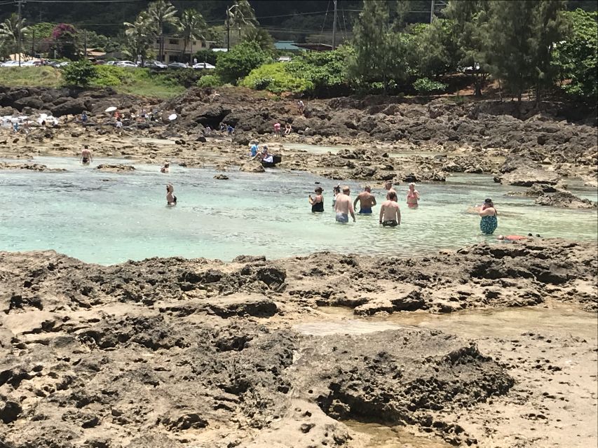 Oahu: Waimea Falls & valley & North Shore day - Walking through Waimea Valley’s botanical gardens