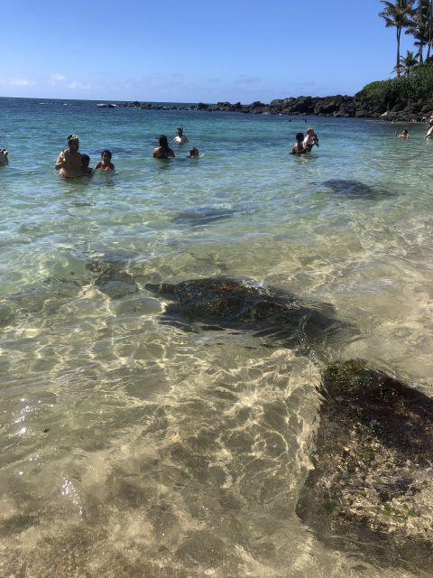 Oahu: Waimea Falls & valley & North Shore day - How the guide and vehicle shape the day