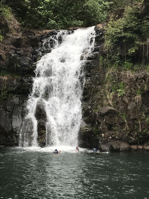 Oahu: Waimea Falls & valley & North Shore day - Sugar, macadamia nuts, and the island’s working side