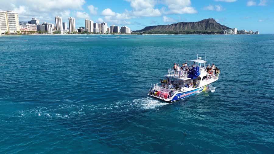 Oahu: Whale Watching Cruise Whales Guaranteed - Key points to know before booking