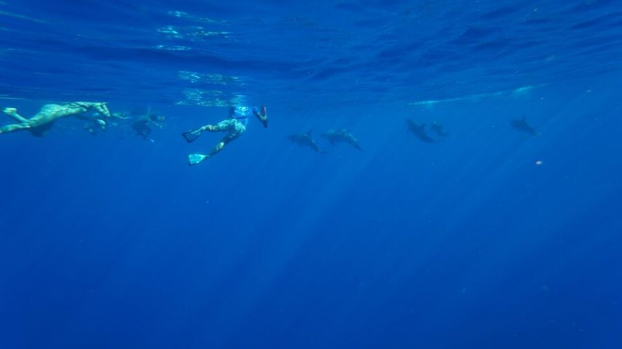 Oahu: Wild Dolphins Swim Turtle Snorkel Tour & Waterslide - What the boat ride along Waianae feels like