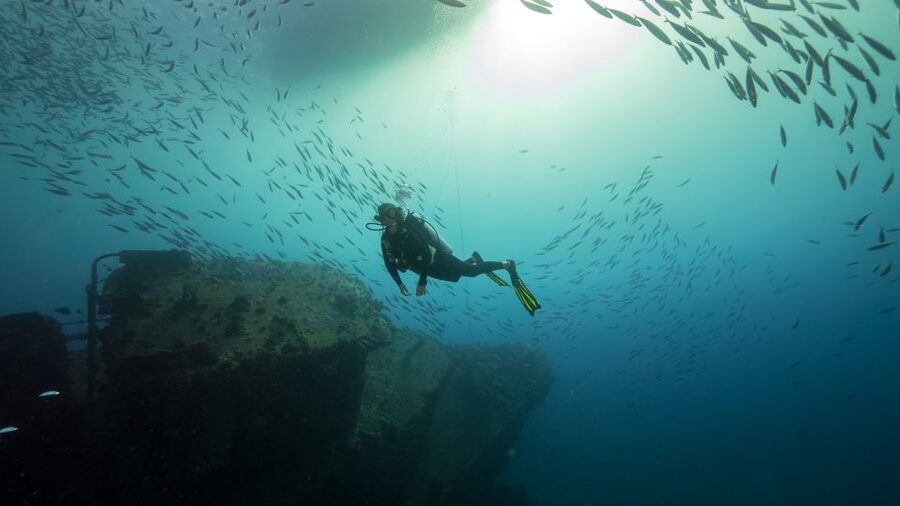 Oahu: Wreck & Reef Scuba Dive for Certified Divers - Timing, cancellation, and what to bring