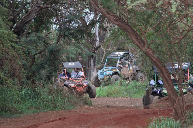 Off-Road ATV & 3 Zipline Combo (Optional Waikiki Shuttle) - Guides who make the difference