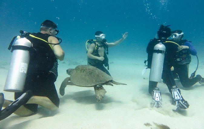 Open Water Scuba Certification - Day one: final exam and beach-based training