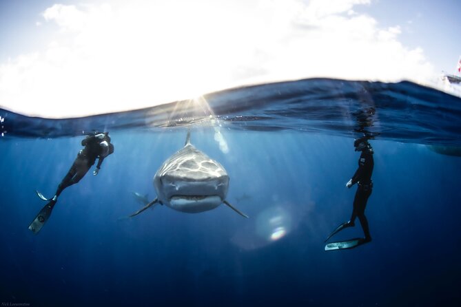 Open Water Shark Dive - Leaving Haleiwa Harbor for open water