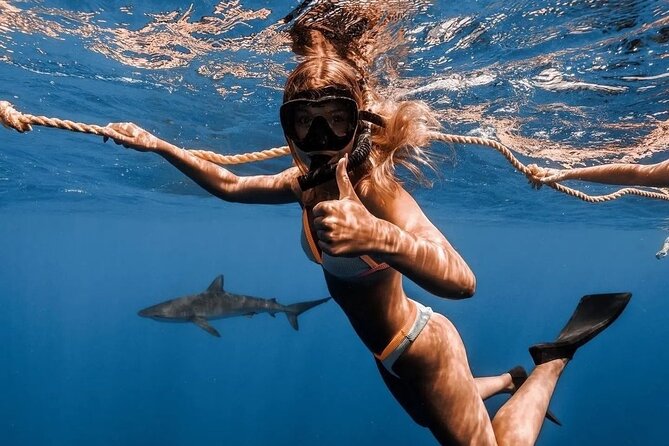 Open Water Shark Dive - Underwater photos are worth considering