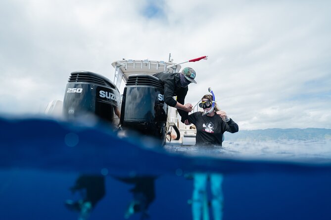Open Water Shark Dive - The ocean is the main variable