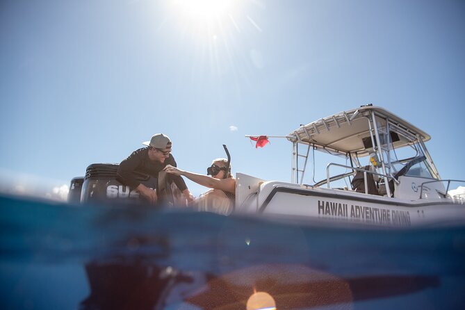 Open Water Shark Dive - Safety and comfort for nervous swimmers