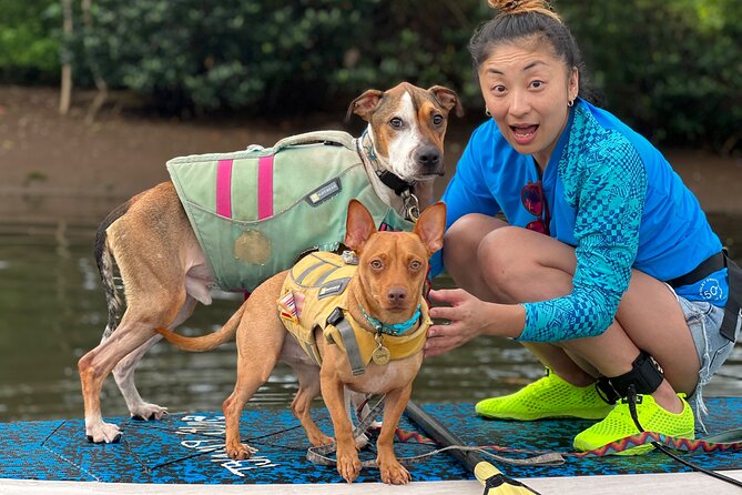 Paddle Board North Shore with Rescue Dogs - Meeting Phoenix at Blue Planet Haleiwa