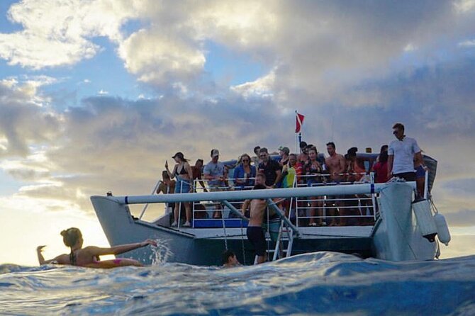 Paradise Waikiki Sunset Cruise + LIVE DJ + SWIMMING - Is $55 good value for two hours?