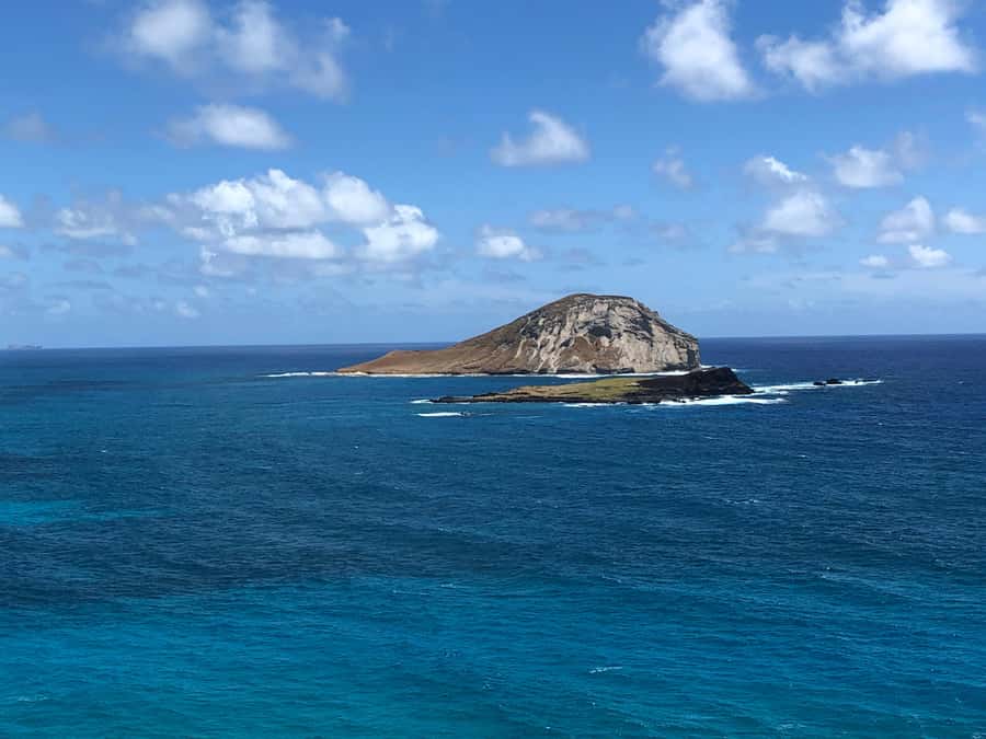 Pearl Harbor and Scenic Oahu Private Tour - Key points to know before booking