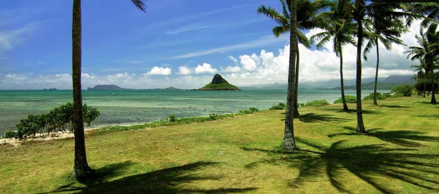 Pearl Harbor and Scenic Oahu Private Tour - Why this private Oahu tour works well