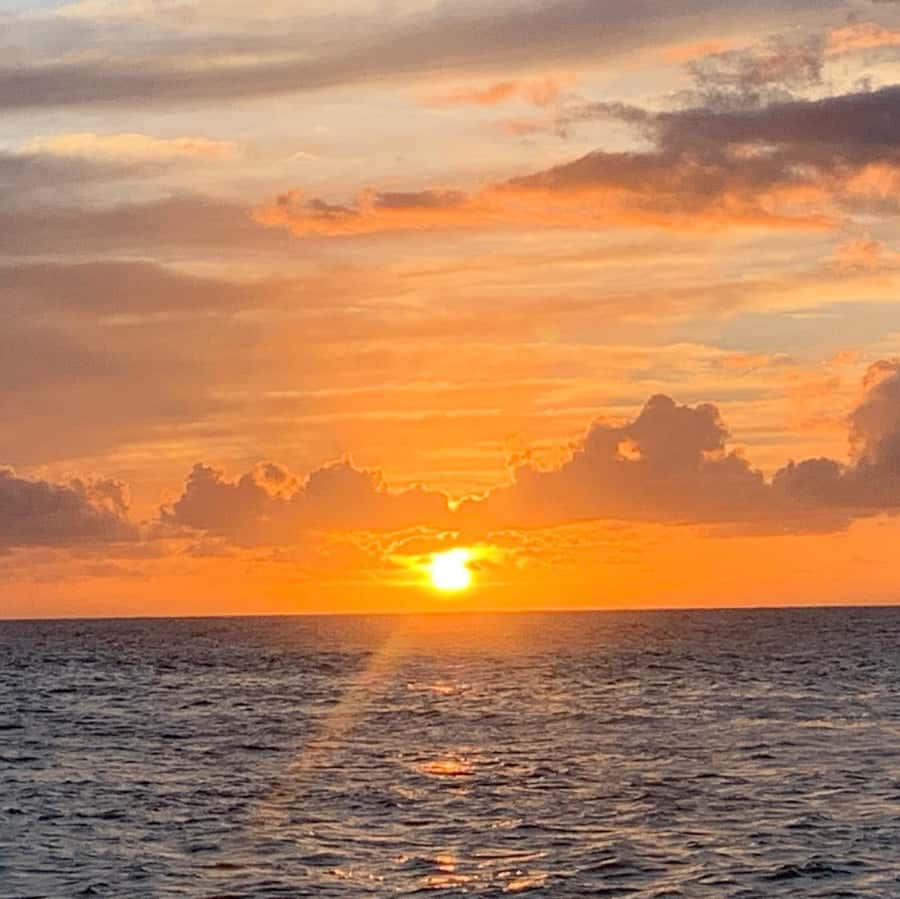 Pearl Harbor and Scenic Oahu Private Tour - What the guide adds to the day
