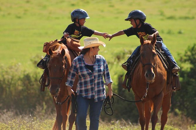 Pony Rides For Kids - Key points at a glance