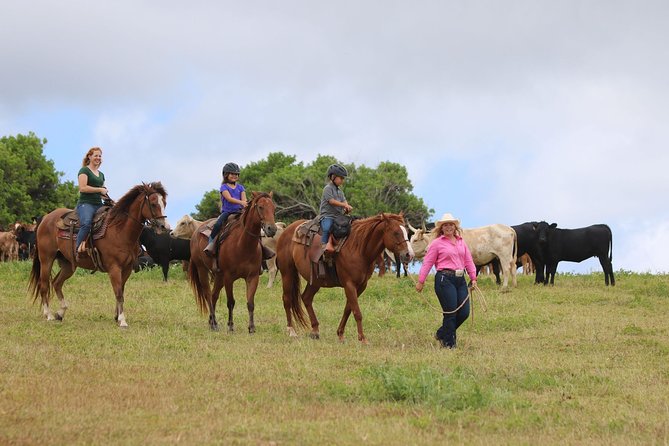 Pony Rides For Kids - A first horseback ride made for small children