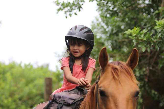 Pony Rides For Kids - Planning your North Shore visit