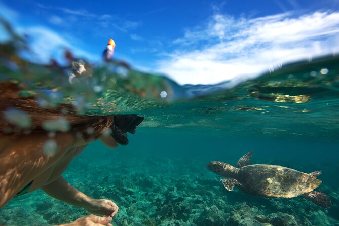 Premium Oahu Circle Island Tour – Small Group, No Crowds - Waimea Bay, Sunset Beach, and Haleiwa