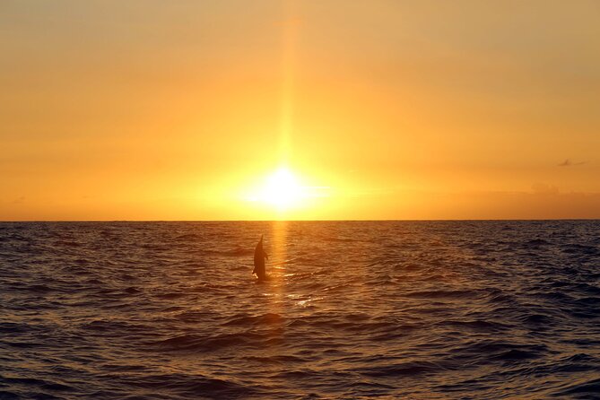 Premium Snorkel Sunset Cruise with Whale and Dolphin Watch - The Freshwater Shower Makes a Real Difference